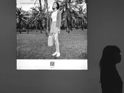 Barbados Casino Mobile App